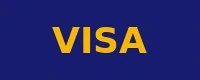 Visa accepted payment method logo at Betzillo